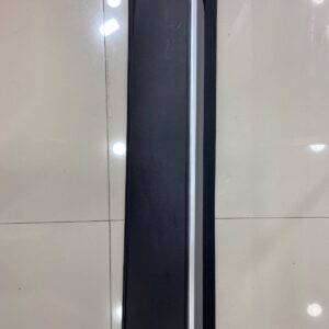 Moldura de Puerta Delantera LH CS55