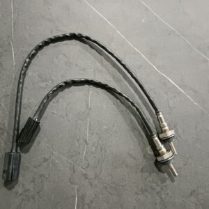 Sensor de Temperatura CS15