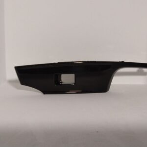 Moldura Delantera Posterior de la Puerta CS55 L