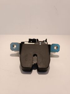 Chapa Buyer Posterior CS 15