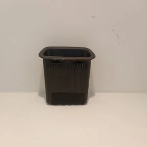 Tapa Compu e a Posterior CS15